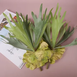 Close-up of small and medium artificial staghorn fern wall plant collection