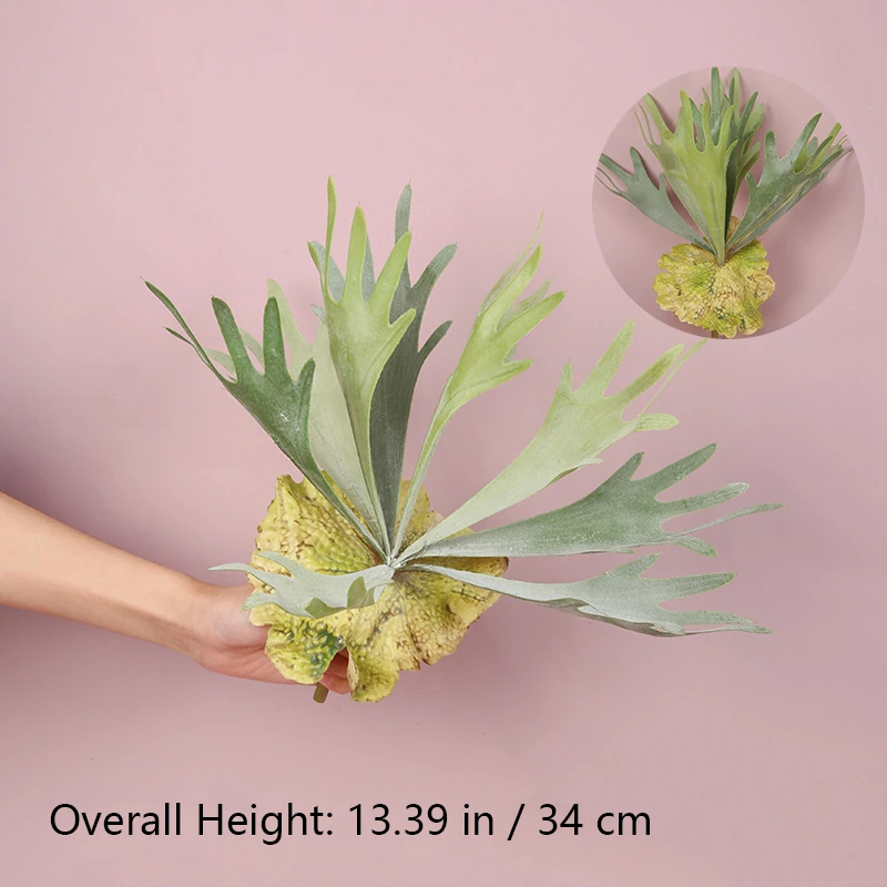 Size diagram for artificial staghorn fern wall plant collection, 34 cm