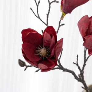Close-up of burgundy artificial three-head magnolia branch