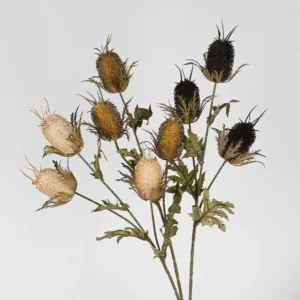 Available colors for artificial three-head teasel flower stem