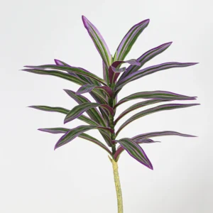 Close-up of purple edged artificial variegated dracaena leaf stem collection