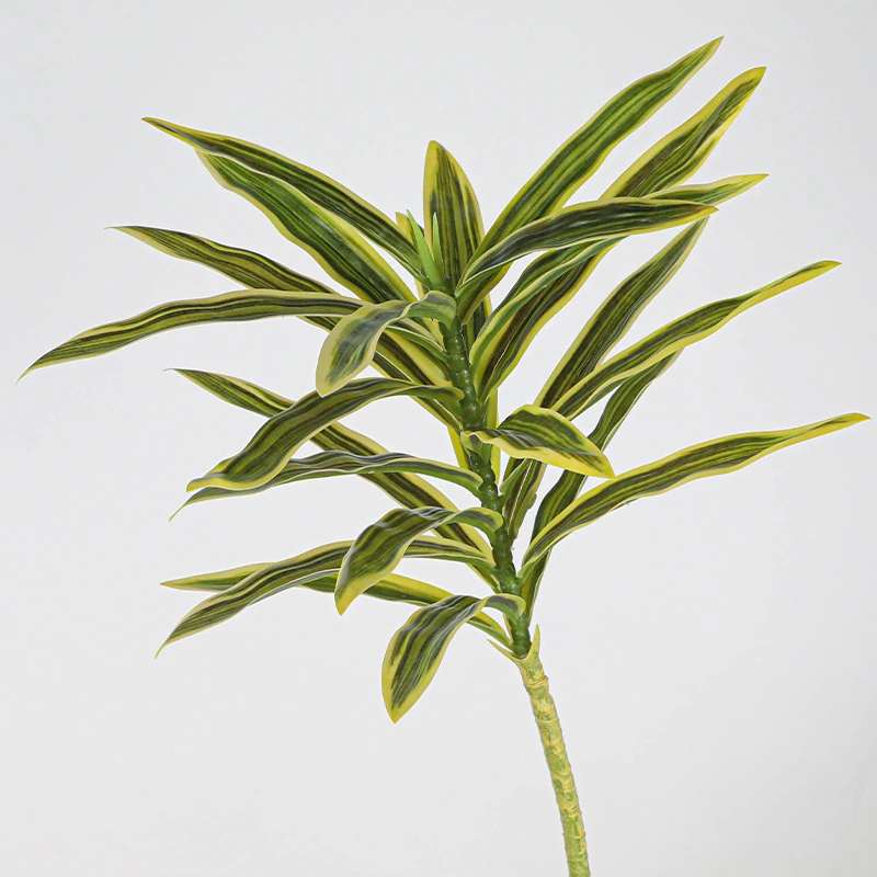 Close-up of yellow striped artificial variegated dracaena leaf stem collection