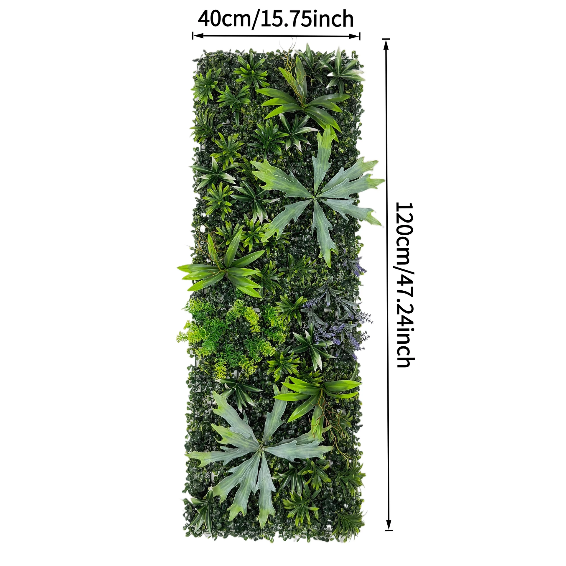 Size diagram for artificial vertical garden panel collection, fittonia mix