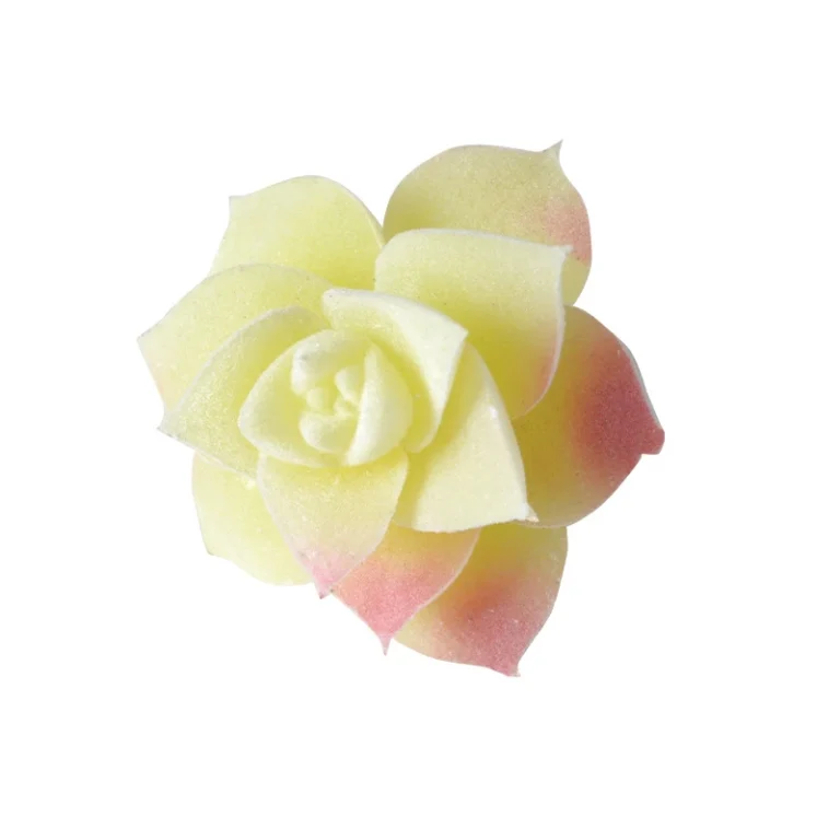 Assorted Cream and Pink Artificial Succulent Picks