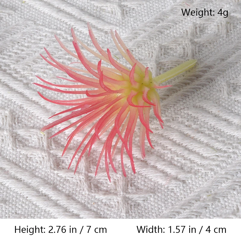 Size diagram for assorted pink artificial succulent picks, spiky rosette