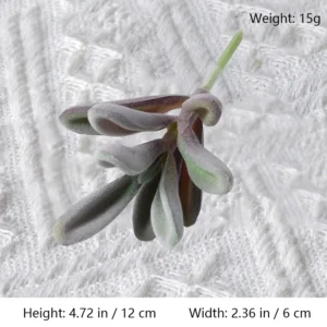 Size diagram for assorted purple artificial succulent picks, rounded leaf