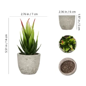 Size diagram for bright green mini potted artificial aloe plant collection