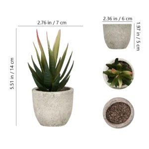 Size diagram for dark green mini potted artificial aloe plant collection
