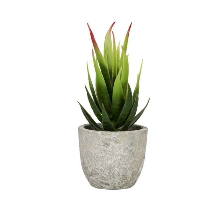 Mini Potted Artificial Aloe Plant Collection