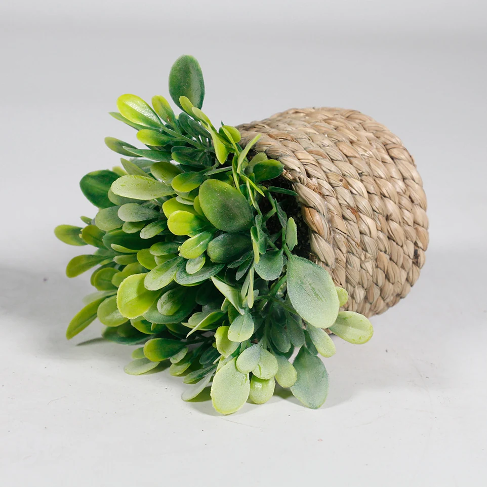 Broad Oval Leaf mini potted artificial eucalyptus plant set