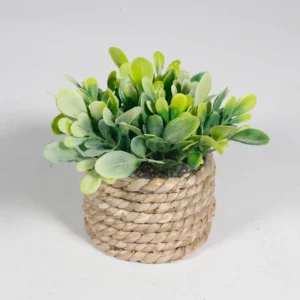 Broad Oval Leaf mini potted artificial eucalyptus plant set