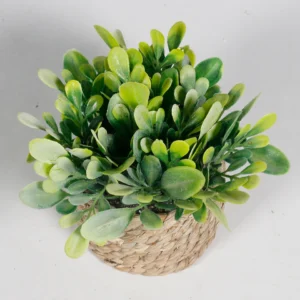 Broad Oval Leaf Top View mini potted artificial eucalyptus plant set