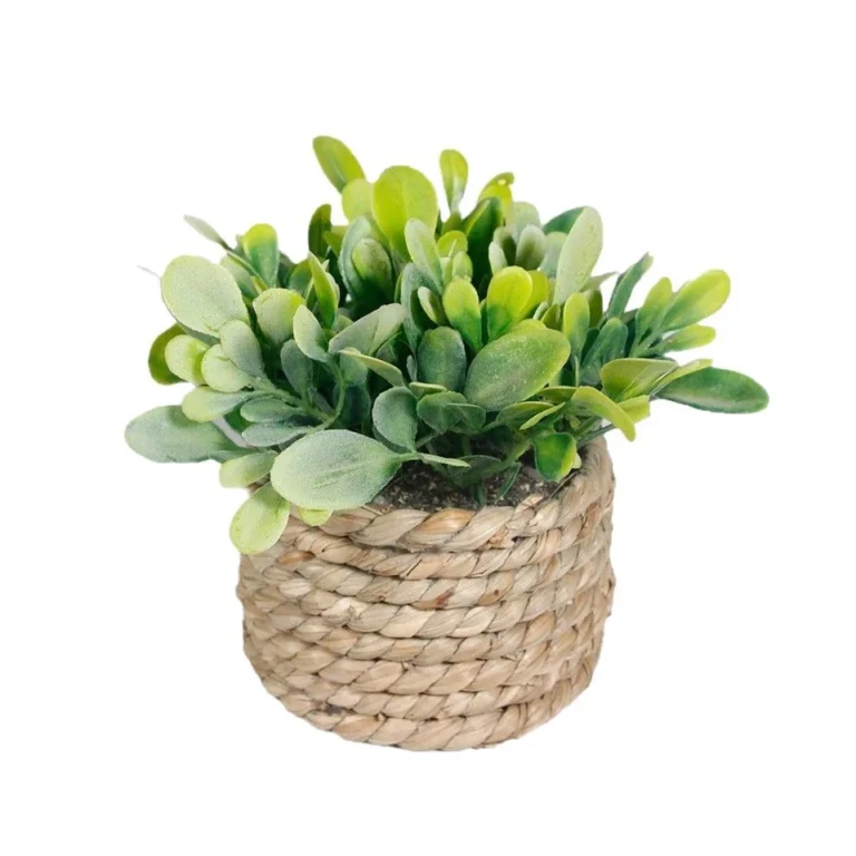 Mini Potted Artificial Eucalyptus Plant Set