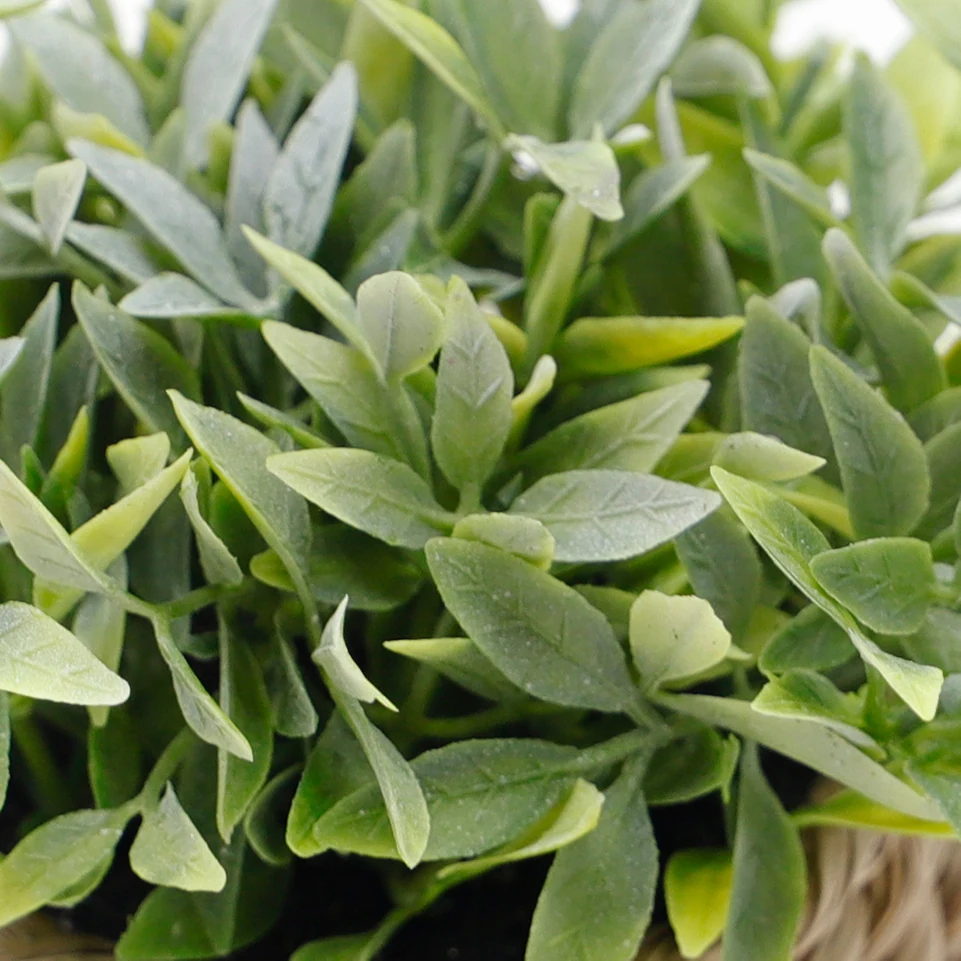 Close-up of narrow leaf detail for mini potted artificial eucalyptus plant set