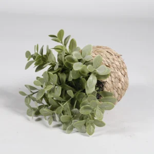 Round Leaf mini potted artificial eucalyptus plant set