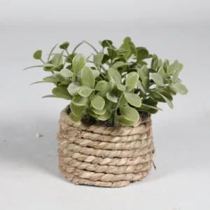 Round Leaf mini potted artificial eucalyptus plant set