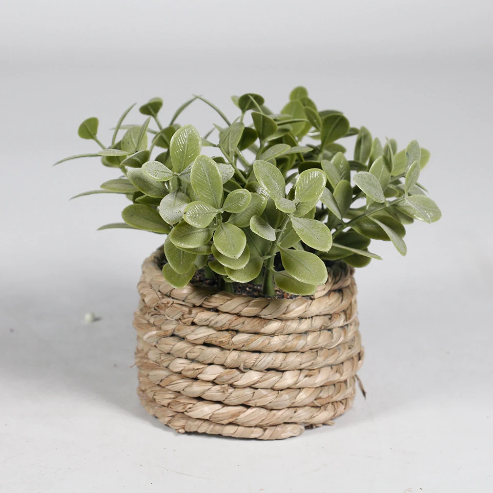 Round Leaf mini potted artificial eucalyptus plant set