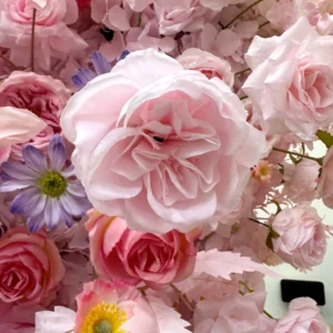 Close-up of pink purple butterfly flower backdrop