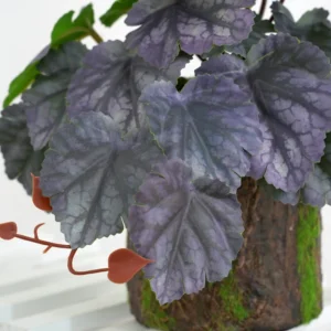Close-up of purple detail for potted artificial coral bells plant