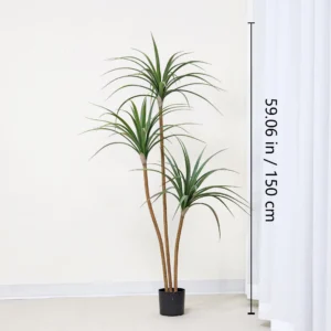 Size diagram for potted artificial dracaena tree collection, 150 cm
