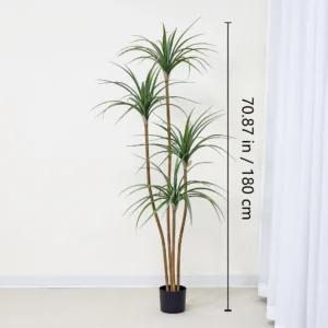 Size diagram for potted artificial dracaena tree collection, 180 cm