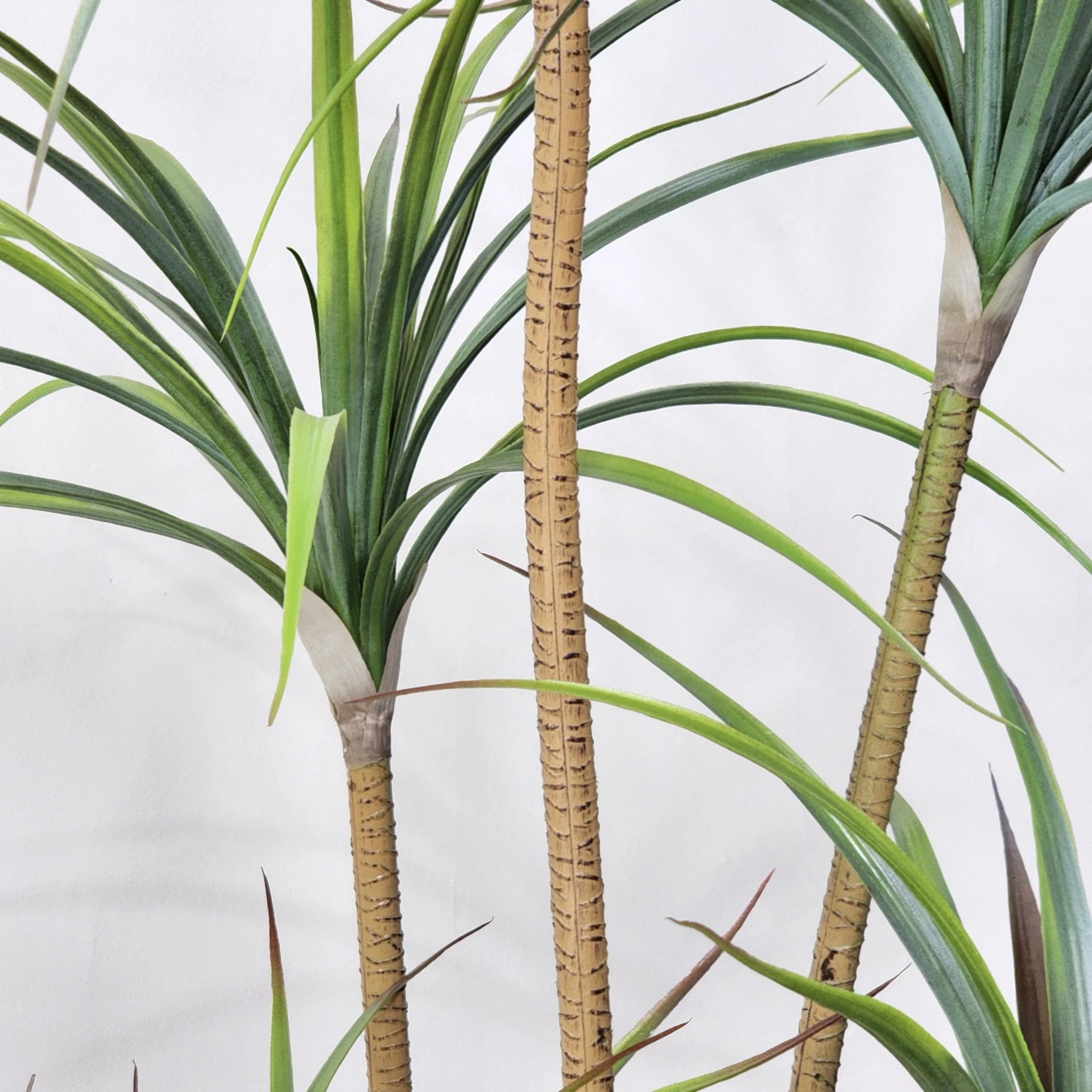 Close-up of potted artificial dracaena tree collection