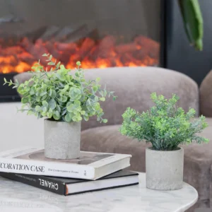 Potted Artificial Eucalyptus and Mixed Greenery arranged for decorative display