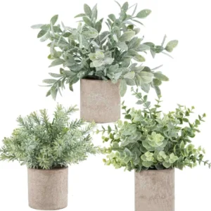 Available styles of potted Artificial Eucalyptus and Mixed Greenery
