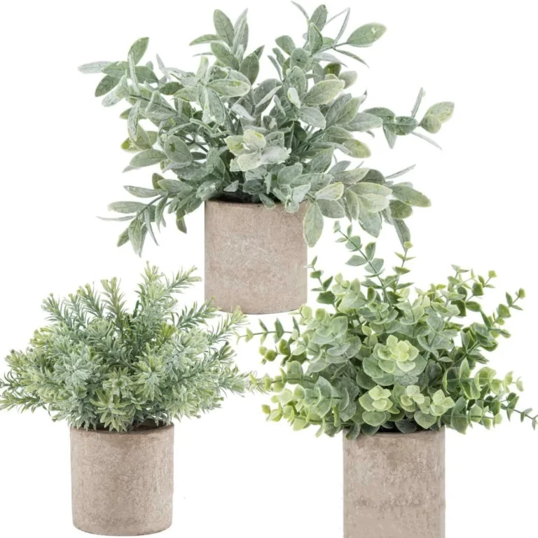 Potted Artificial Eucalyptus and Mixed Greenery