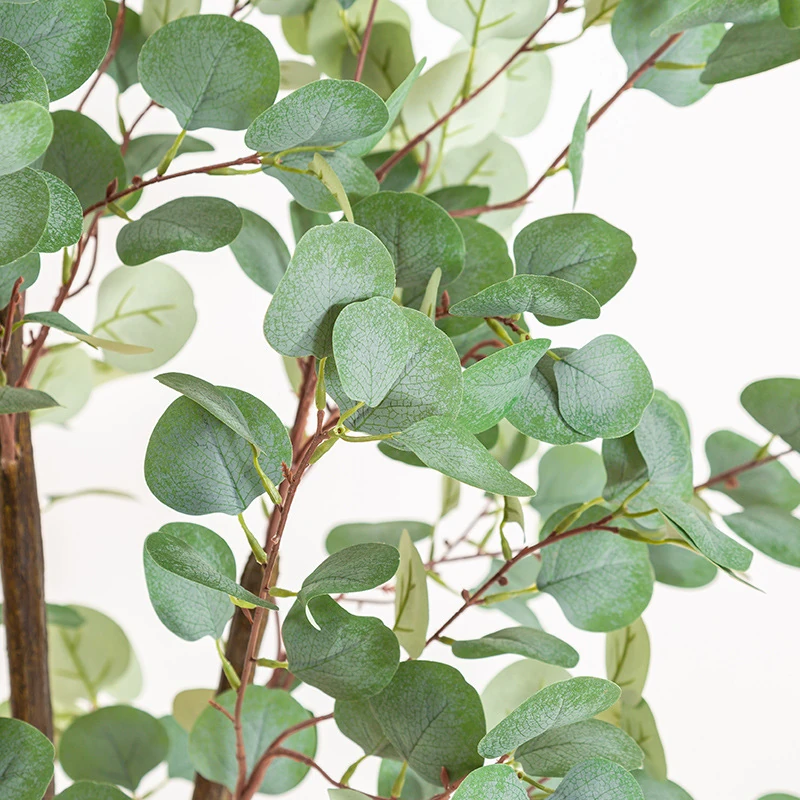 Close-up of green potted artificial eucalyptus tree collection