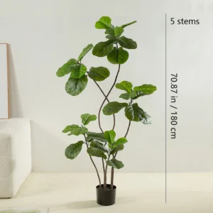 Size diagram for five potted artificial fiddle leaf fig tree collection, 180 cm