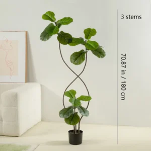 Size diagram for three potted artificial fiddle leaf fig tree collection, 180 cm