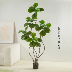Size diagram for potted artificial fiddle leaf fig tree collection, 200 cm