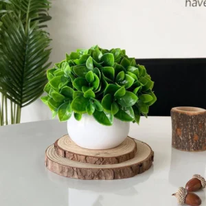 Broad Leaf Rosette potted Artificial Greenery Topiary Ball, 15 cm