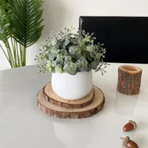 Silver Dollar Eucalyptus potted Artificial Greenery Topiary Ball, 15 cm