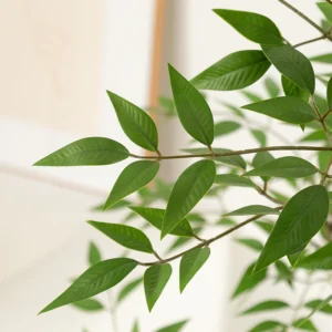 Close-up of potted artificial nandina tree collection