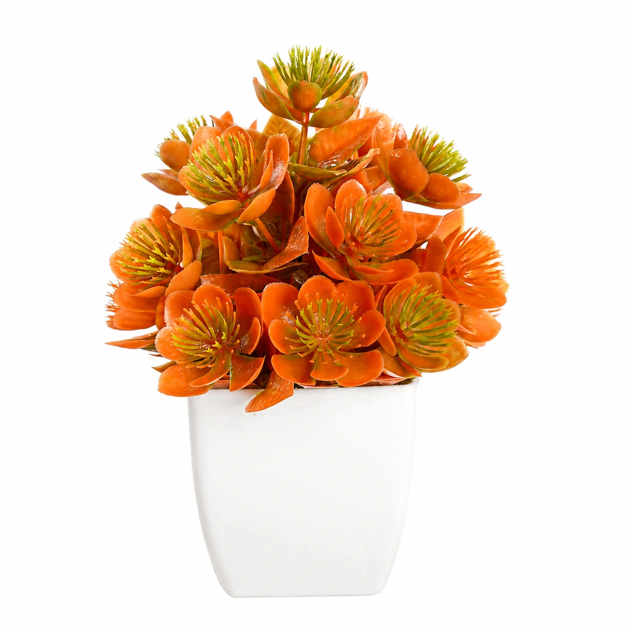 Orange Succulent potted Artificial Orange Greenery Plant, 16.5 cm