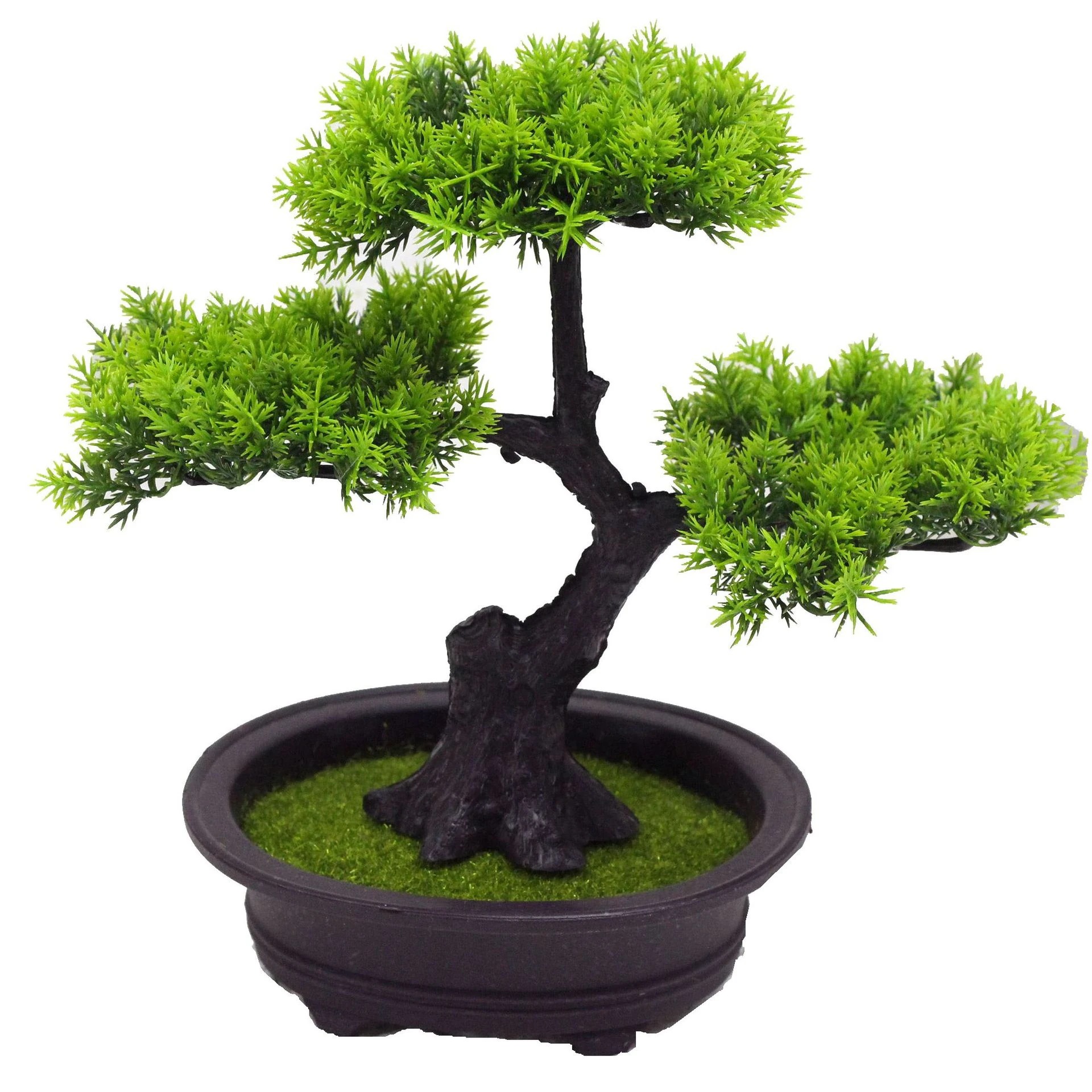 Upright Canopy potted Artificial Pine Bonsai Tree, 20-25 cm