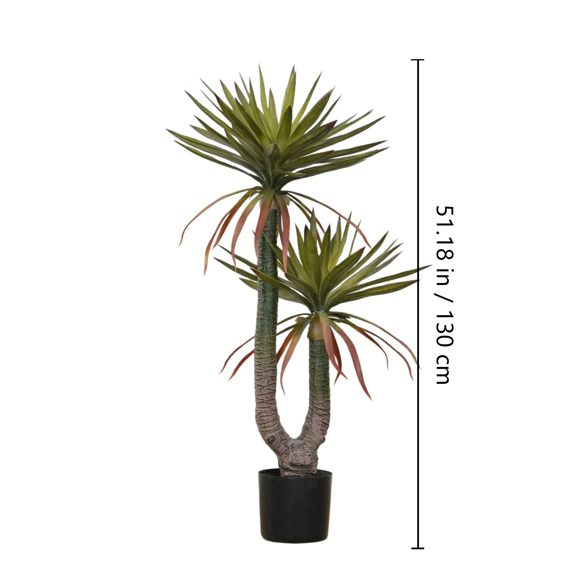 Size diagram for double potted artificial red-edged dragon tree collection, 130 cm