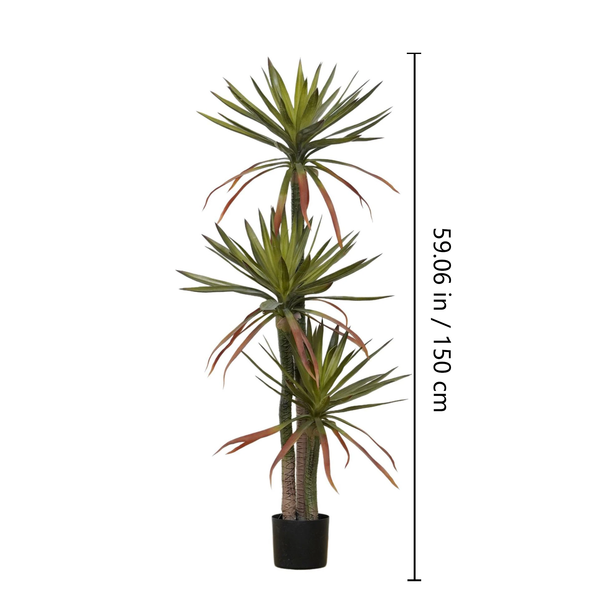 Size diagram for potted artificial red-edged dragon tree collection, 150 cm