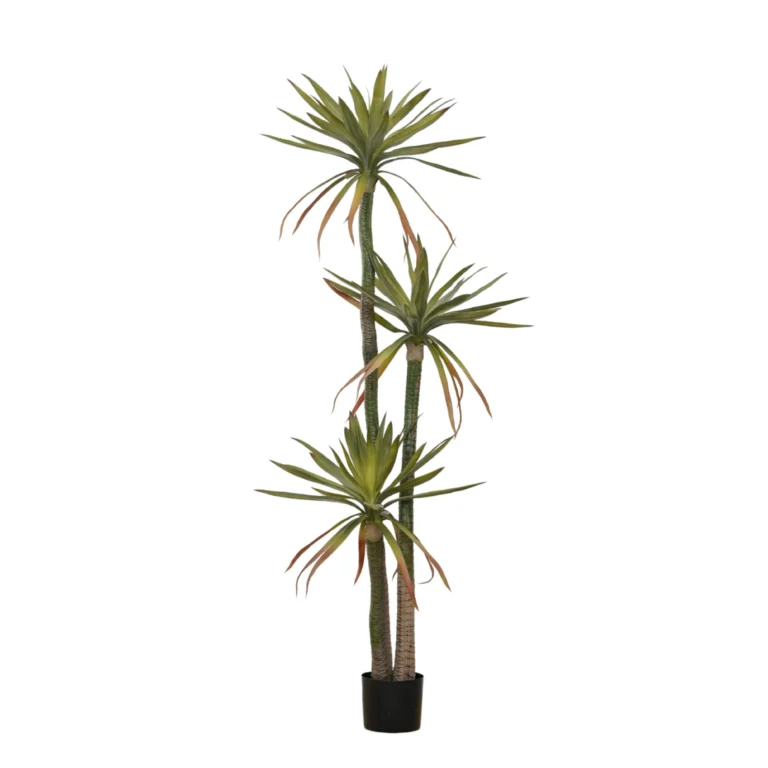 Sammlung künstlicher rotkantiger Drachenbäume im Topf