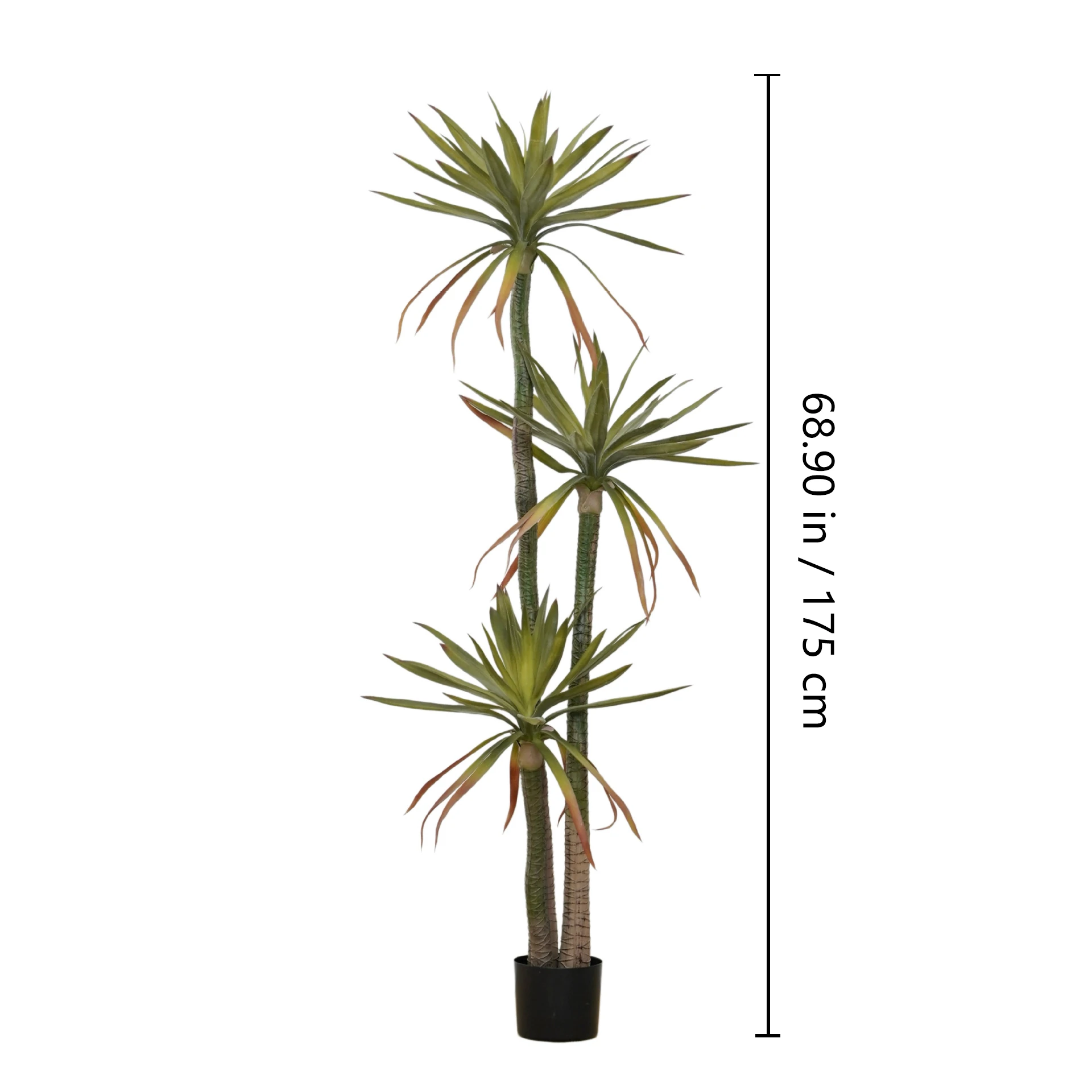 Size diagram for potted artificial red-edged dragon tree collection, 175 cm