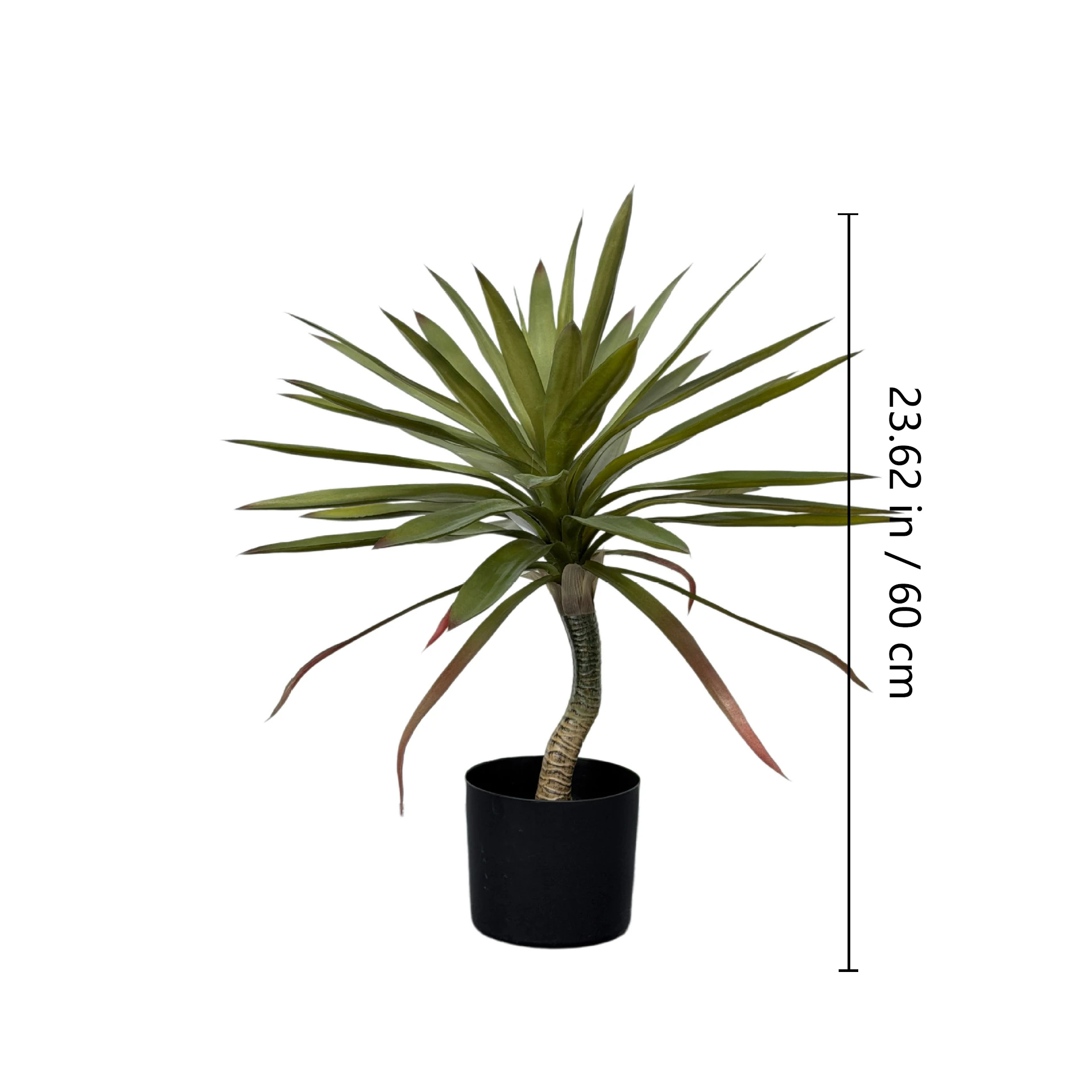 Size diagram for potted artificial red-edged dragon tree collection, 60 cm