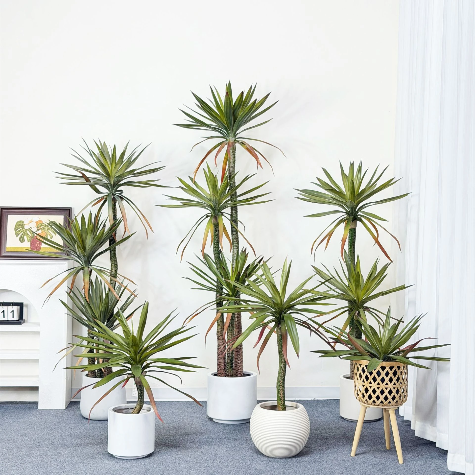 Available styles for potted artificial red-edged dragon tree collection