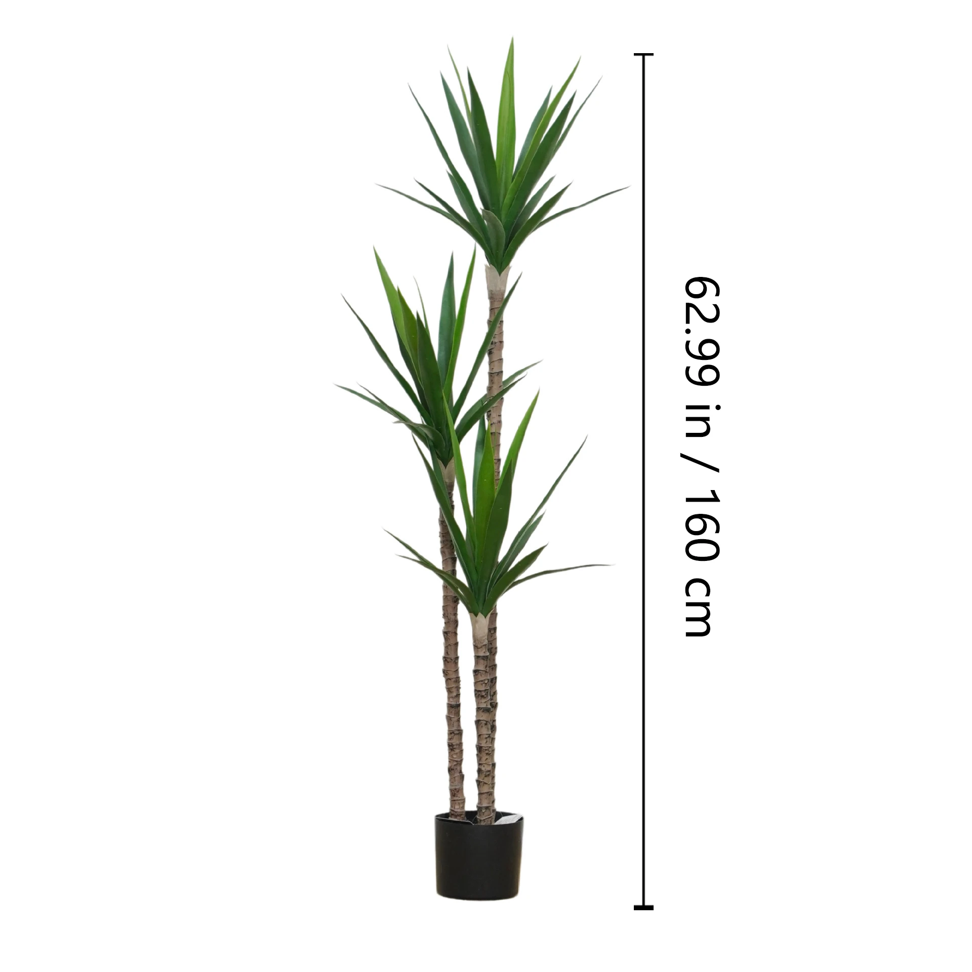 Size diagram for potted artificial yucca tree collection, 160 cm