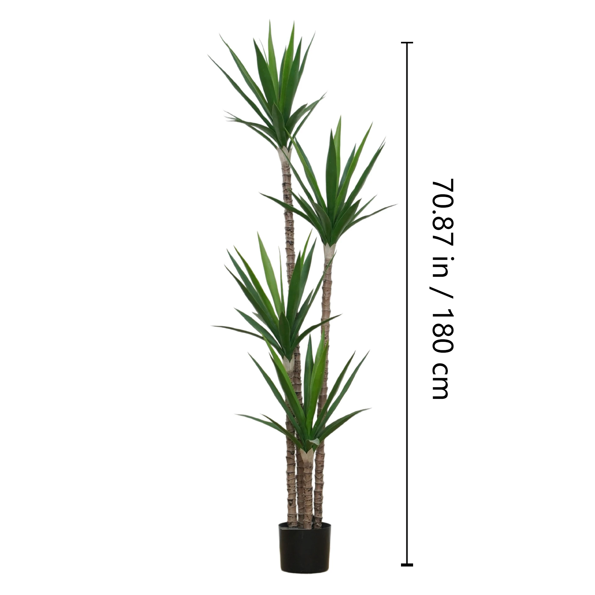 Size diagram for potted artificial yucca tree collection, 180 cm