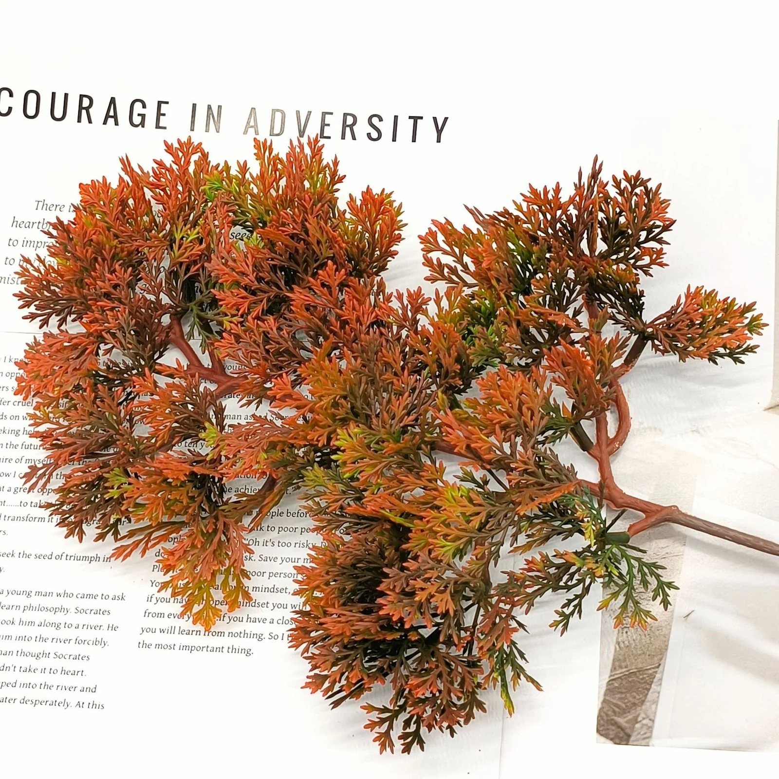 Rust-orange artificial juniper branch in a styled flat-lay display