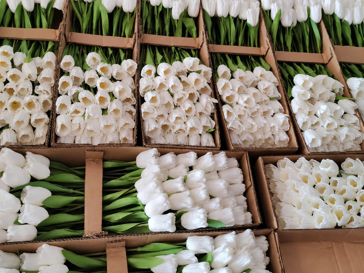 White artificial tulips arranged in open cardboard cartons with dividers.